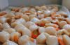 Les Noix de Coquille